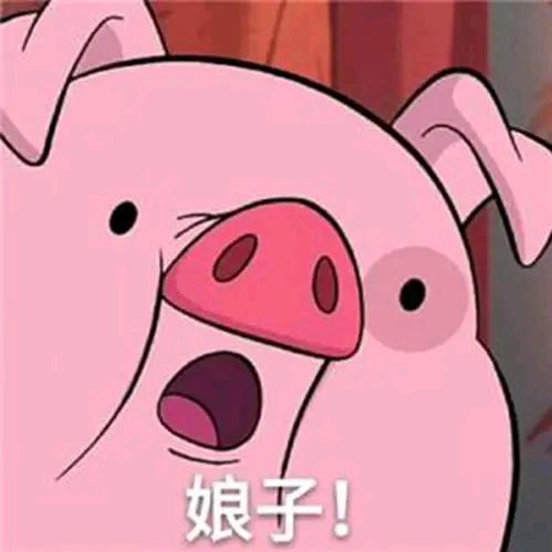 凌凌狗