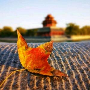 犄角旮旯的北京