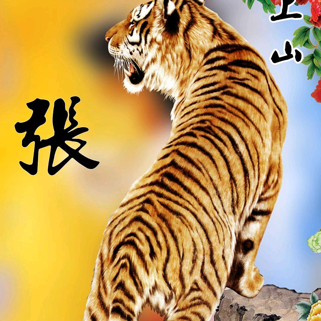 张燕男