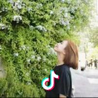 丹🎵