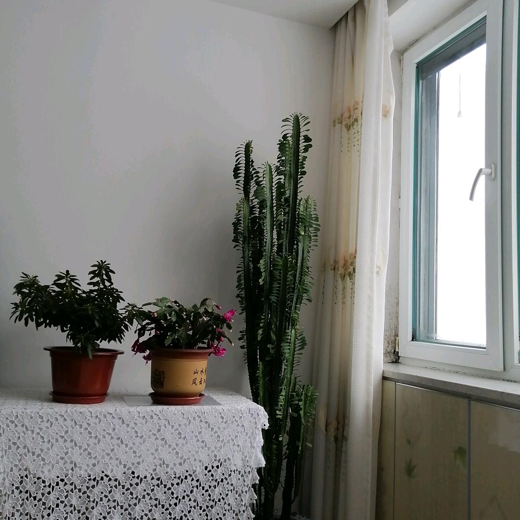 芬芳