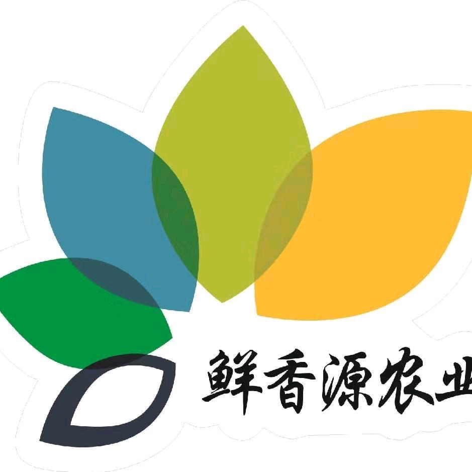 龙南邓少头像