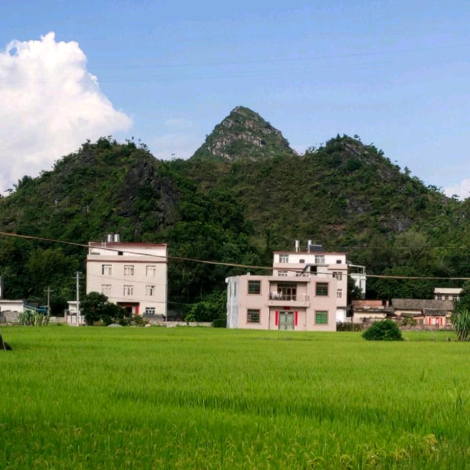 鸿 运 堂