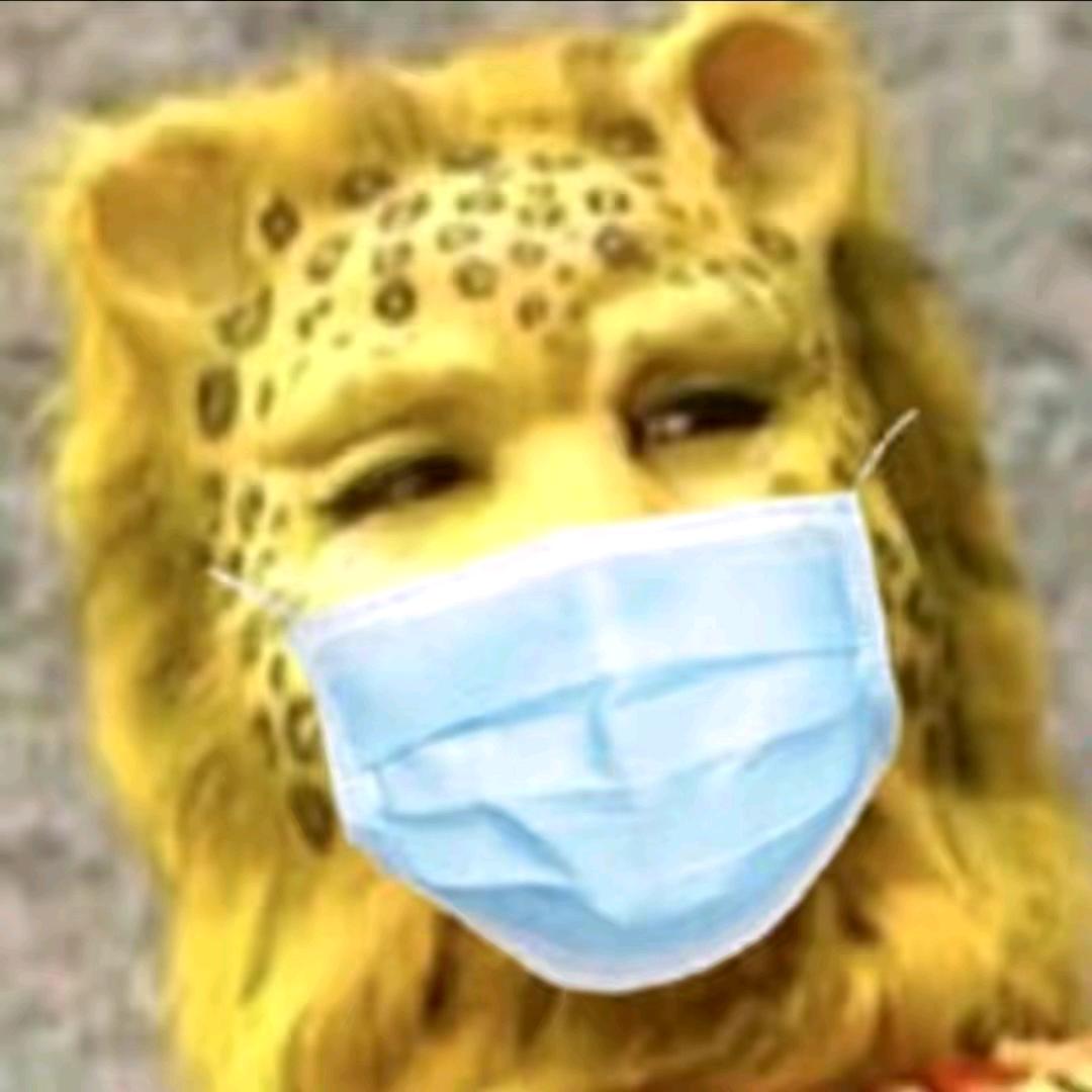 重生之我在问道当牛马