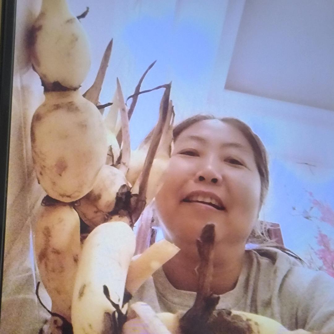 想家的人
