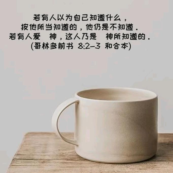 绵羊羊WAO