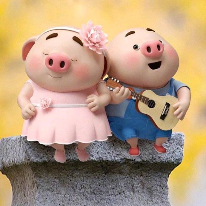 小猪猪的小耳朵