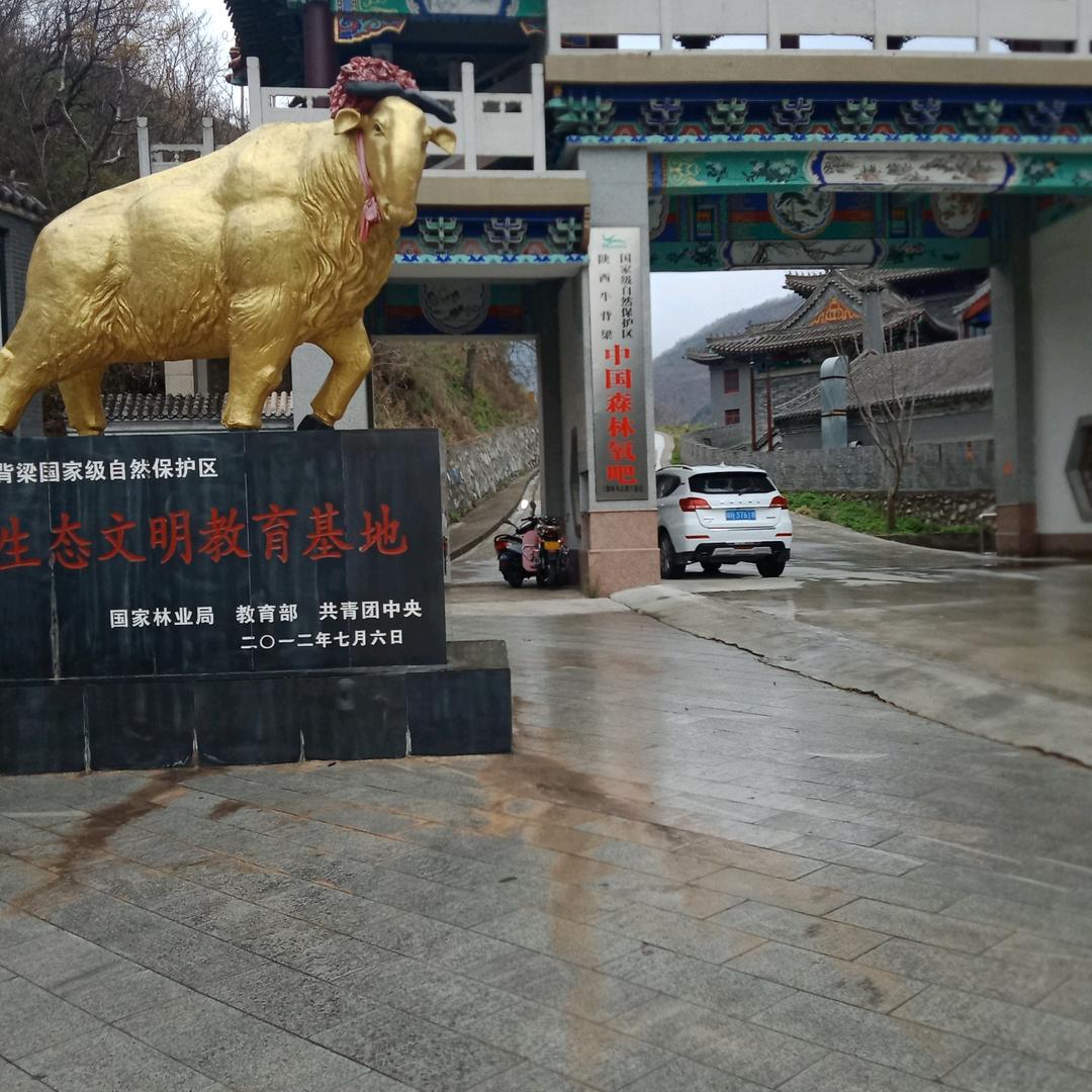 火树银花