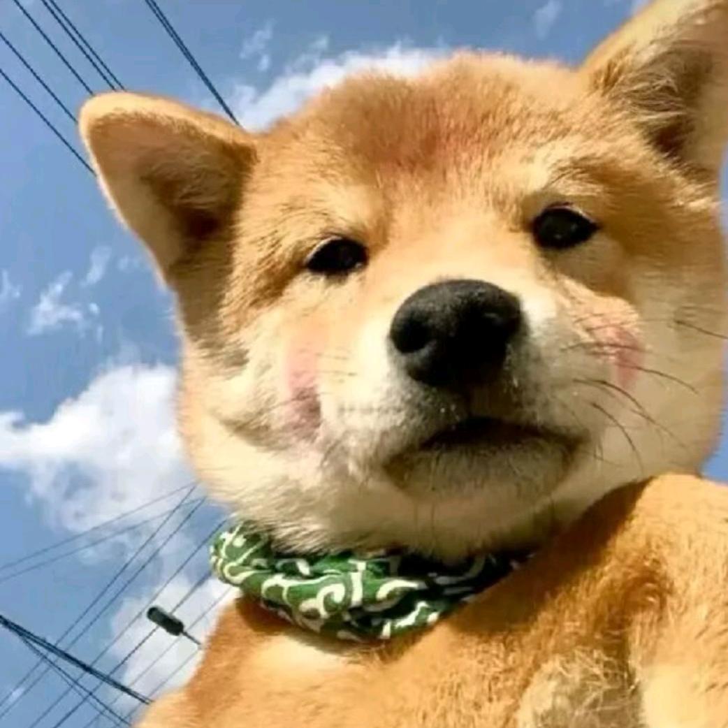 海风_