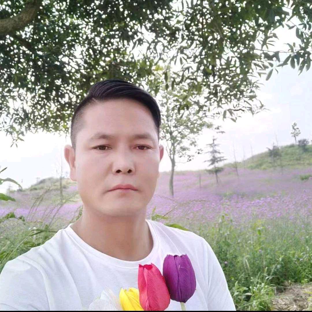 大中小挖机出租拖车