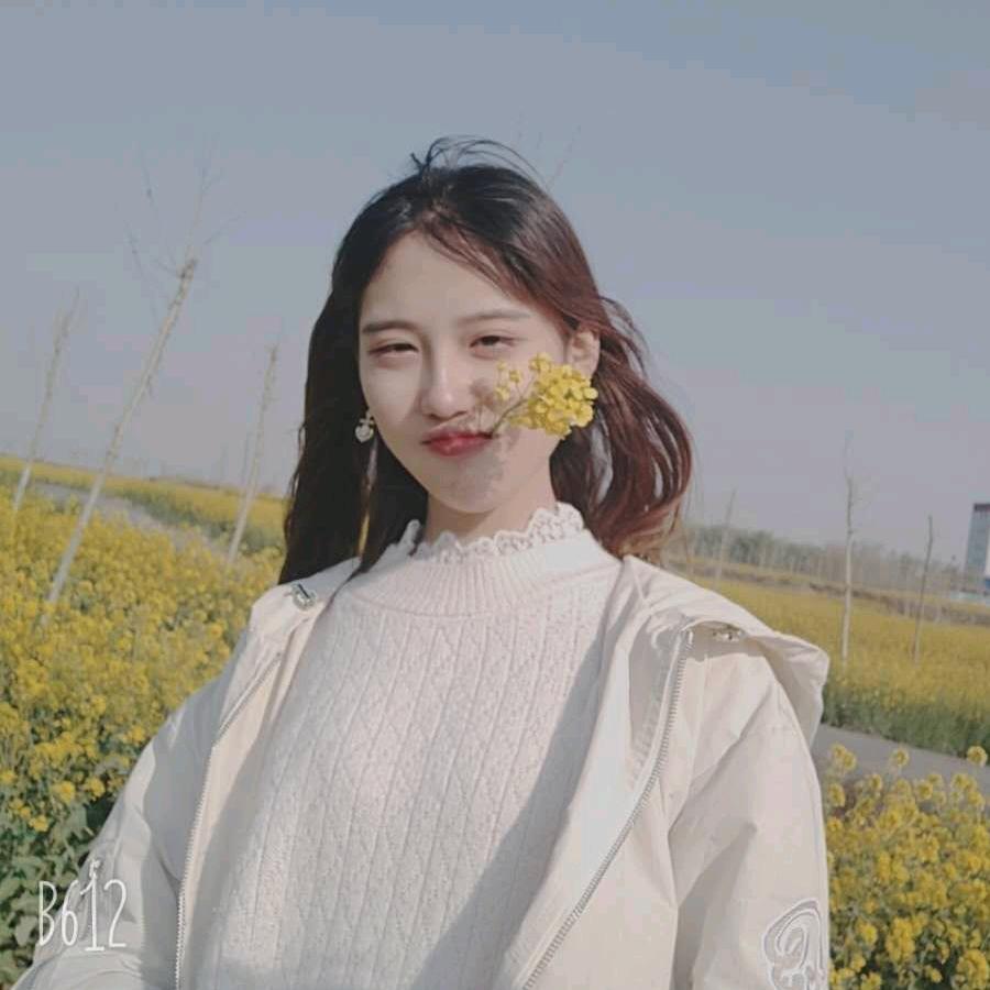 丹丹