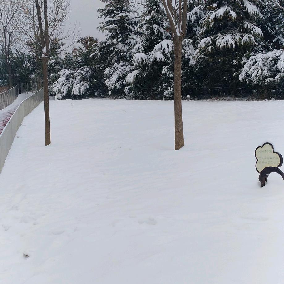 梦幻精品小铺qdD