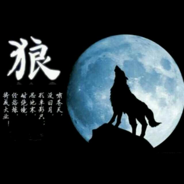 狼