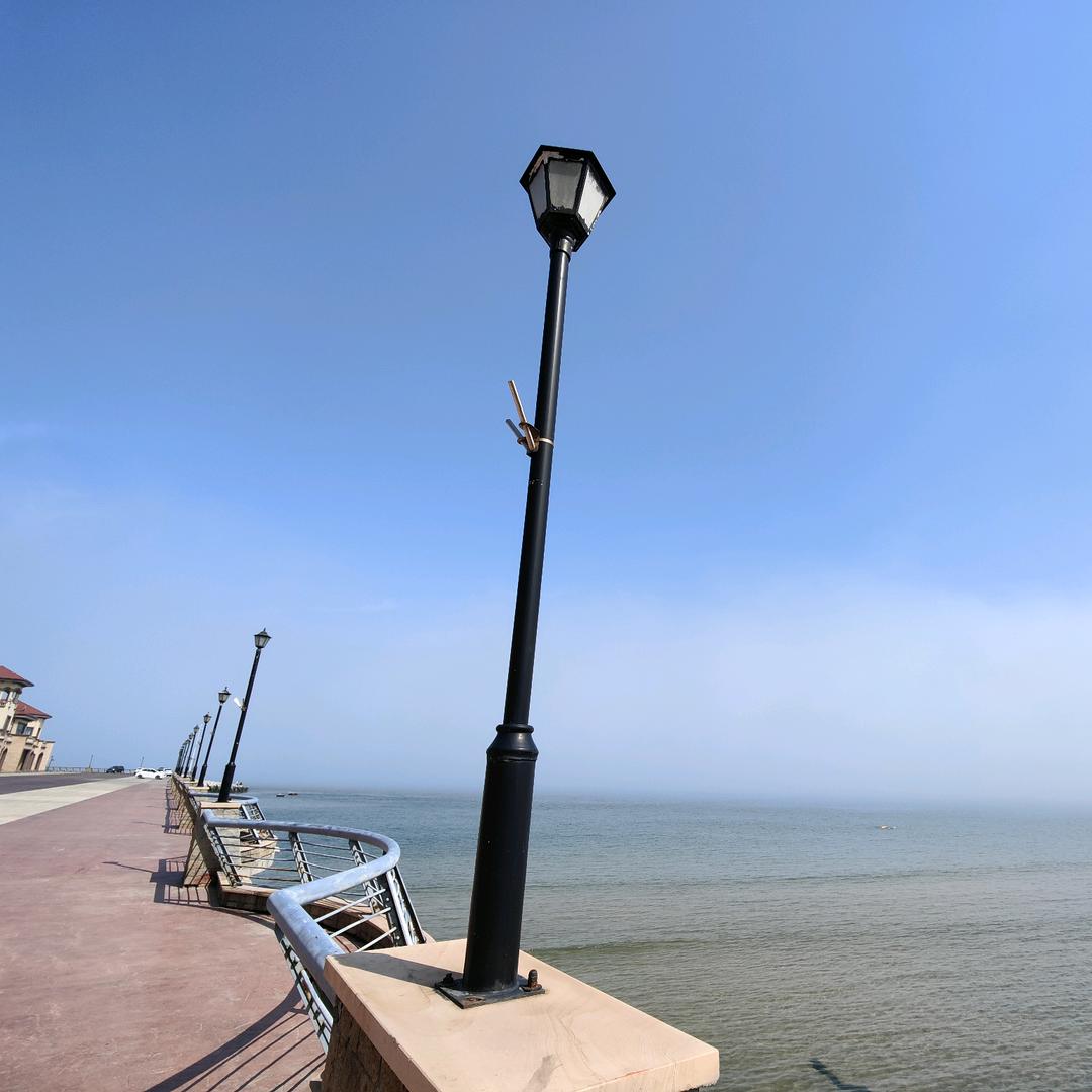 一颗励志的小树苗