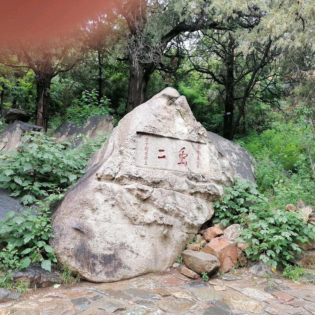 可心