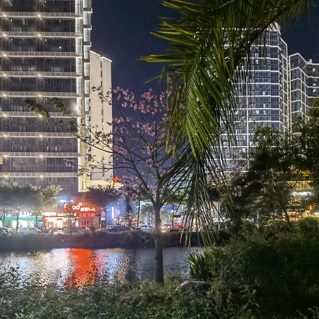 股痴小王（立志成为顶级柚资）