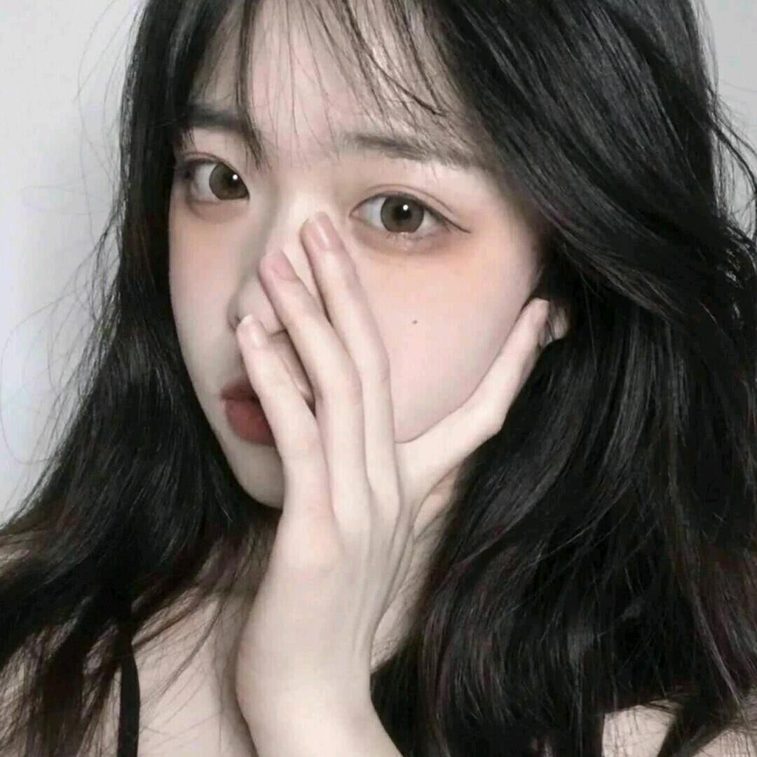 贝贝熊是骑士