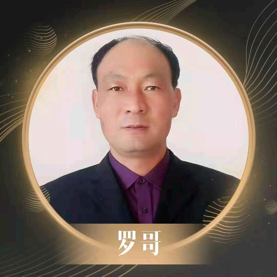 罗哥自媒体
