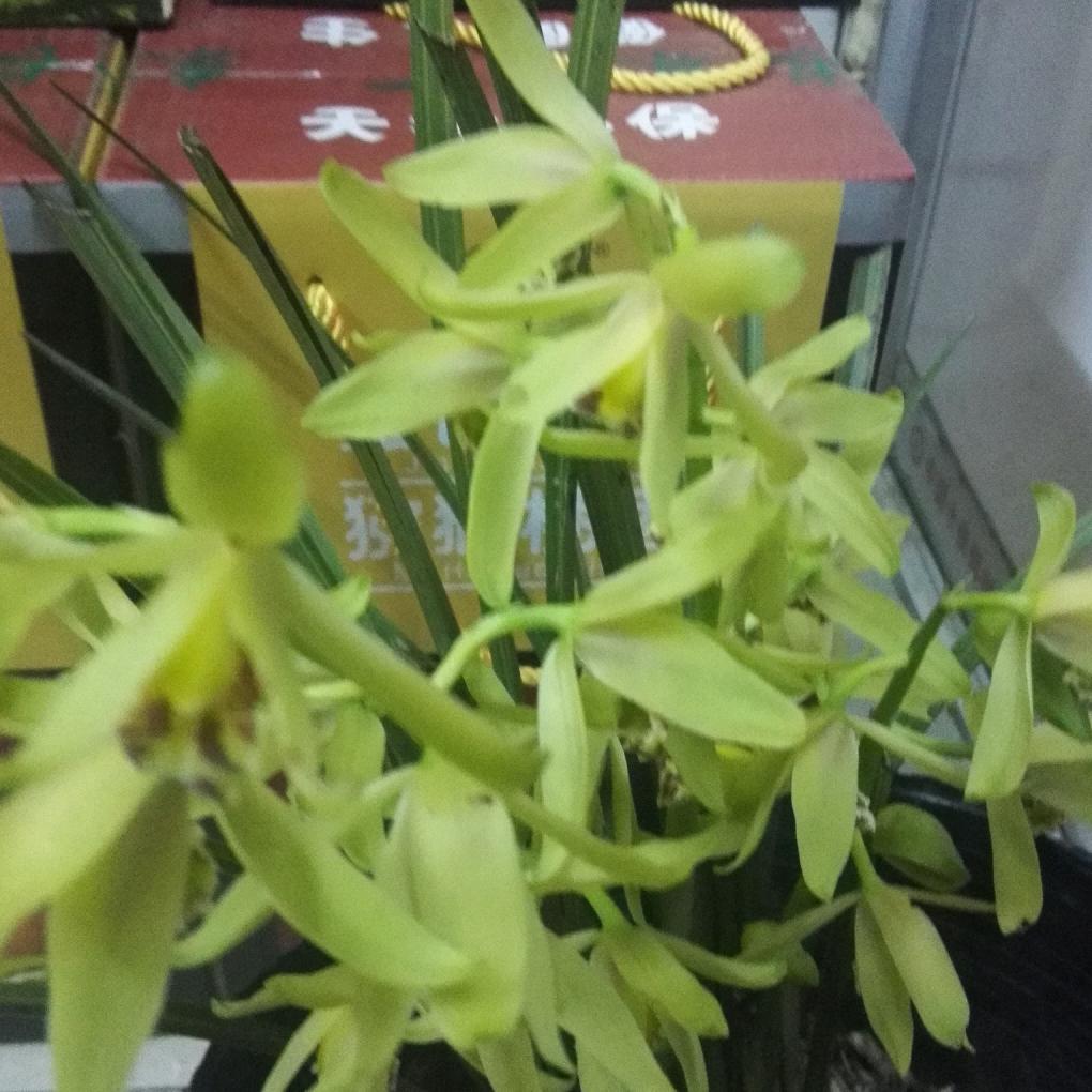 斌