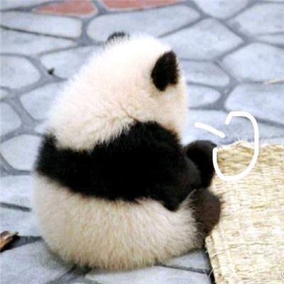 西楼