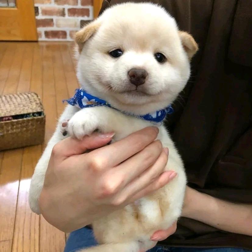 天空信