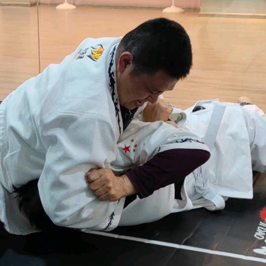 极道术擒拿格斗