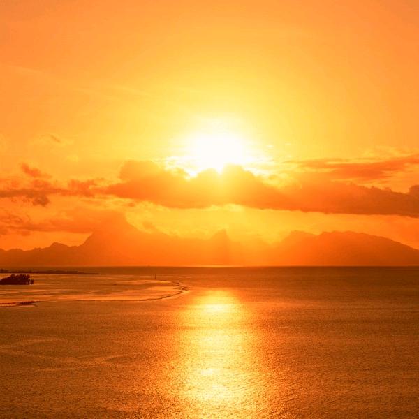 ⚜⚜九鹤雲霄⚜⚜（捌壹玖）