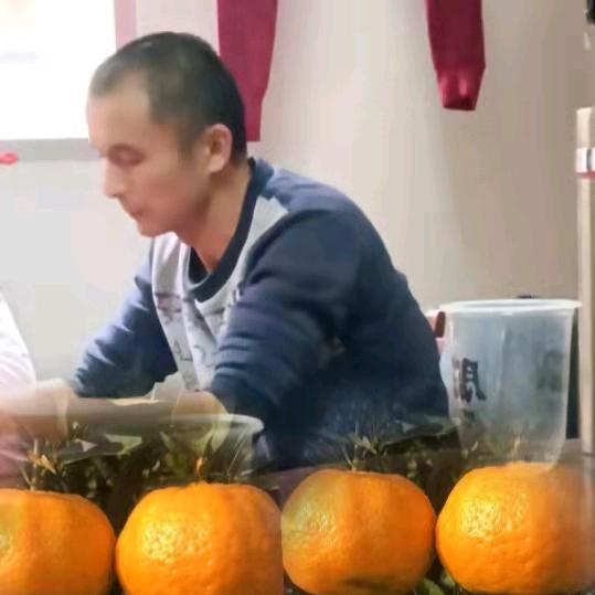 红尘情缘