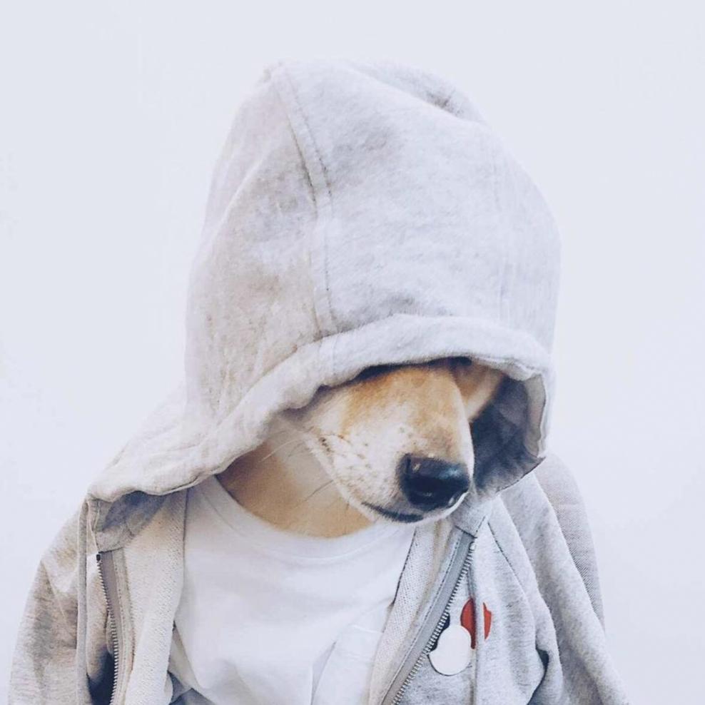 犬犬