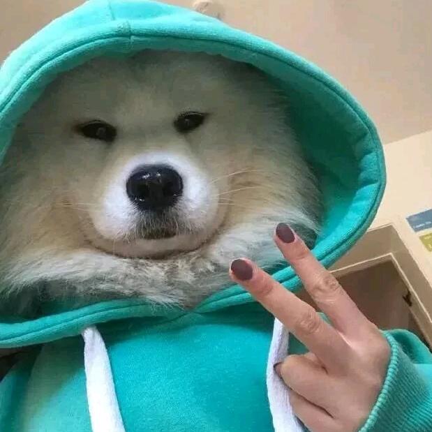 怎么说呢