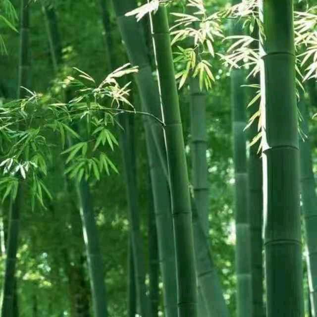 八号楼信阳新县炖菜