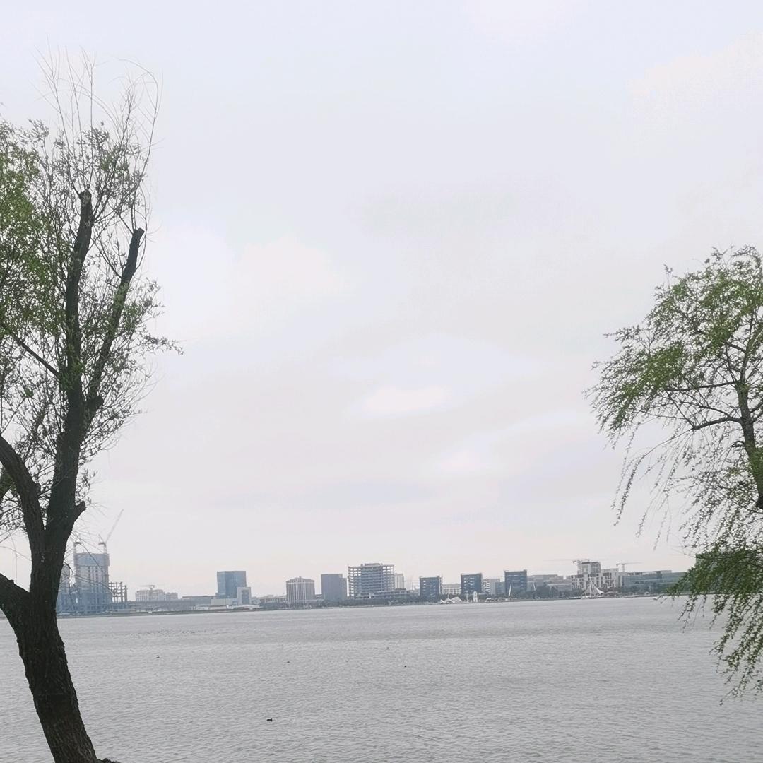 思人若彩虹