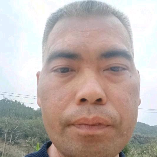 桂平紫荆陈三哥