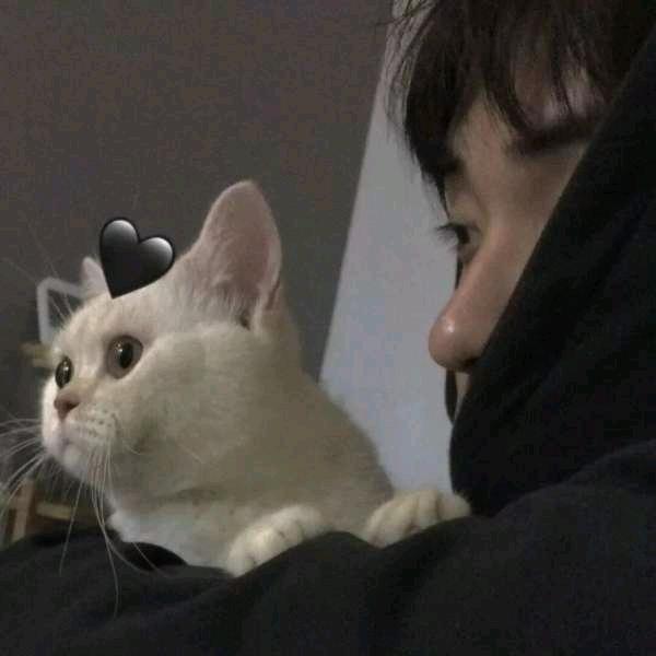 文