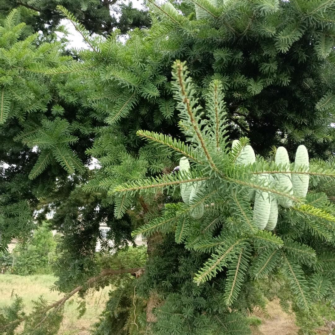 有你真的幸福