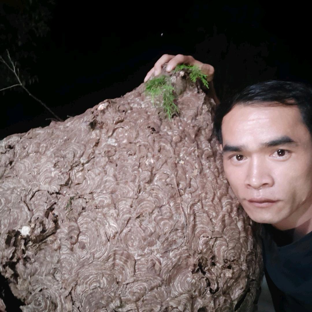 马蜂般运工