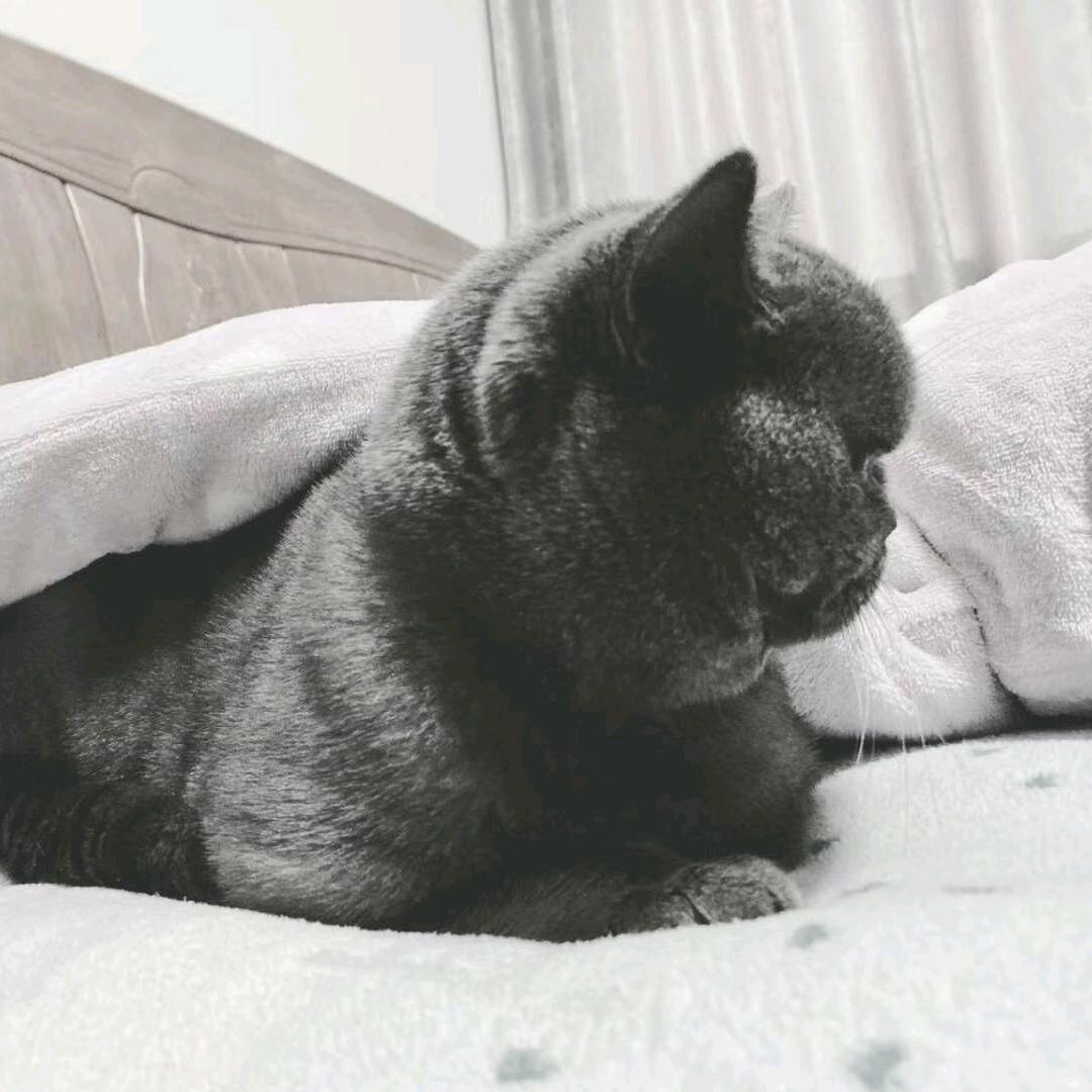 我是陈先森