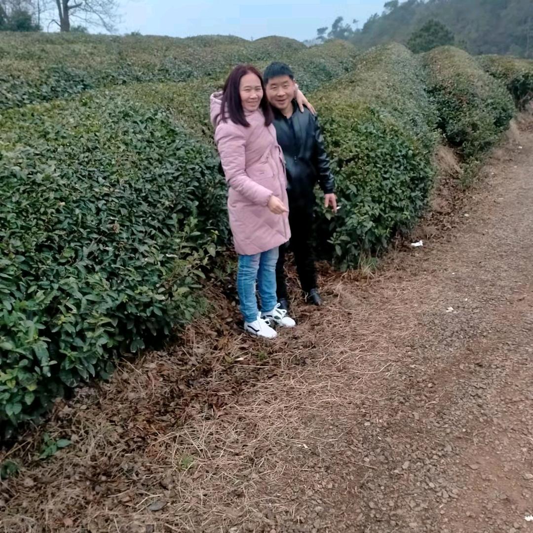 美天开心头像