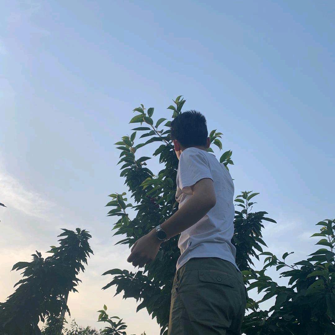 外日today