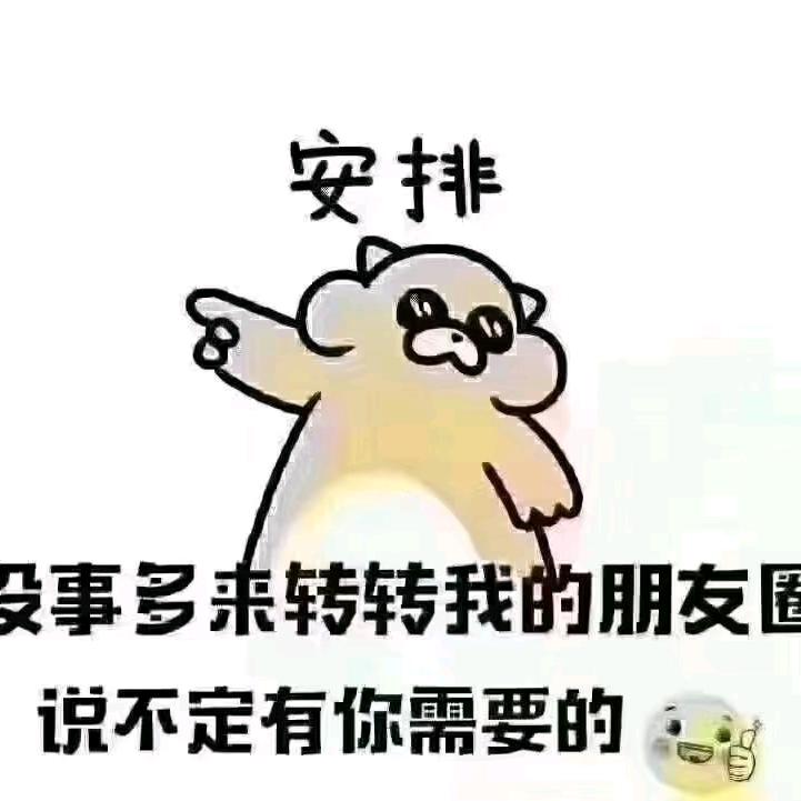 阜阳叶子装饰
