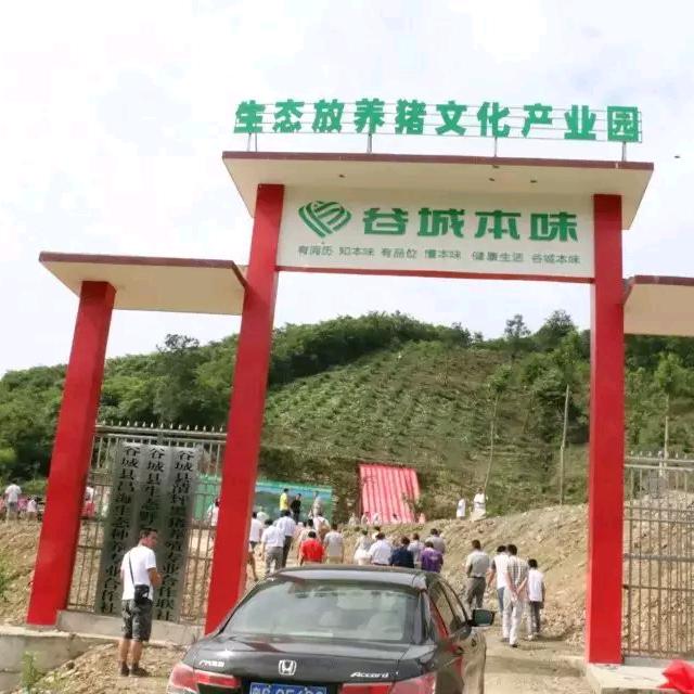 本味山庄：海哥