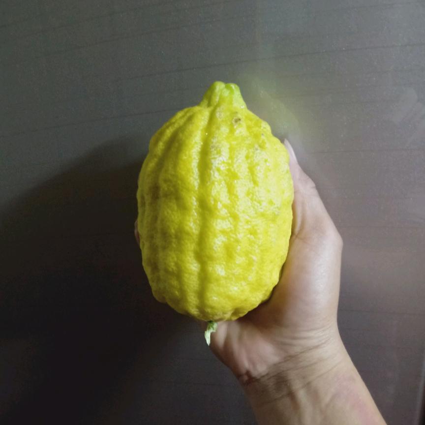 柠檬.
