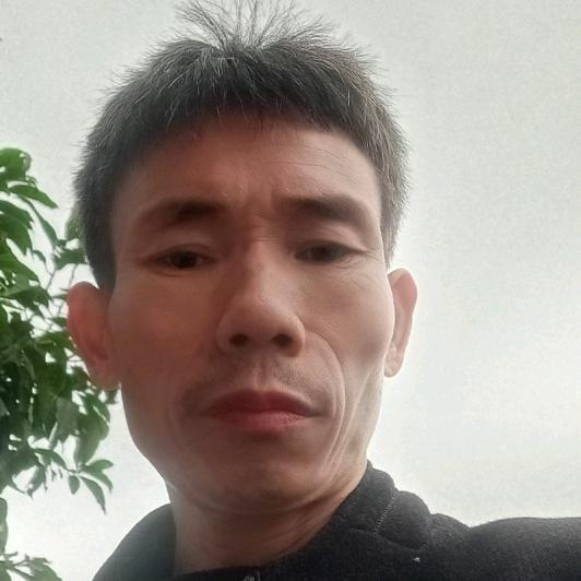 江安踏水桥批发果苗陈良国