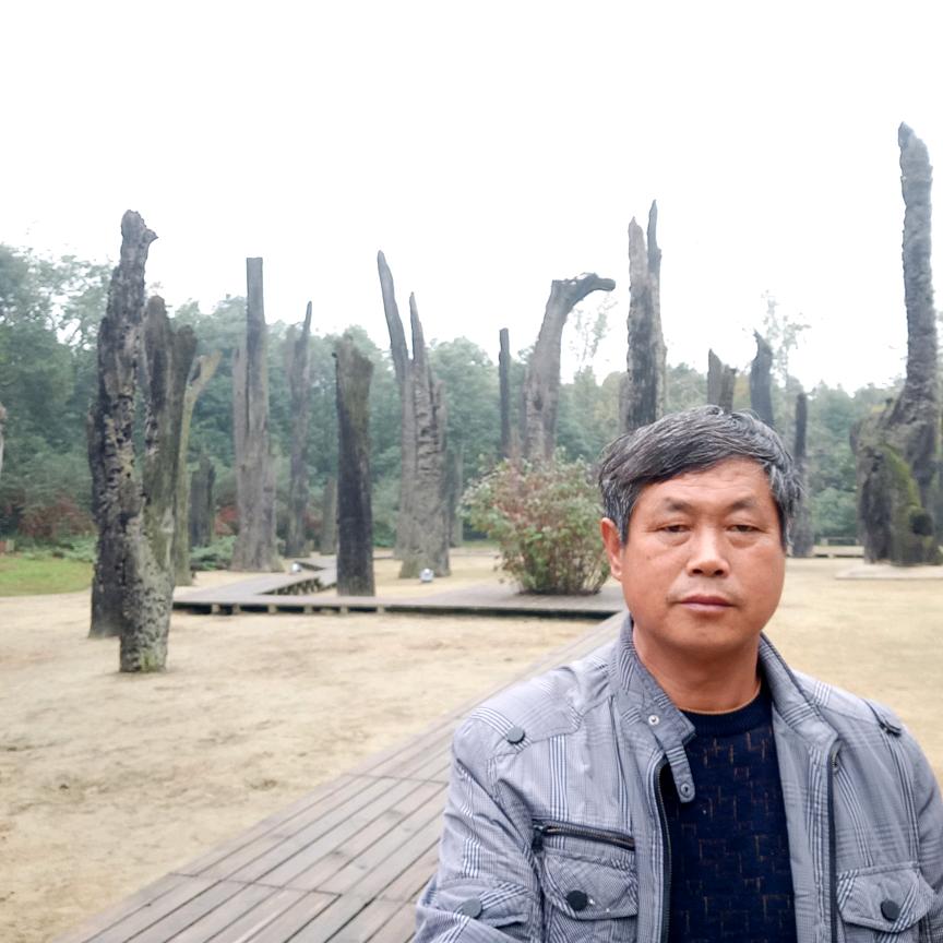 韶华画中游