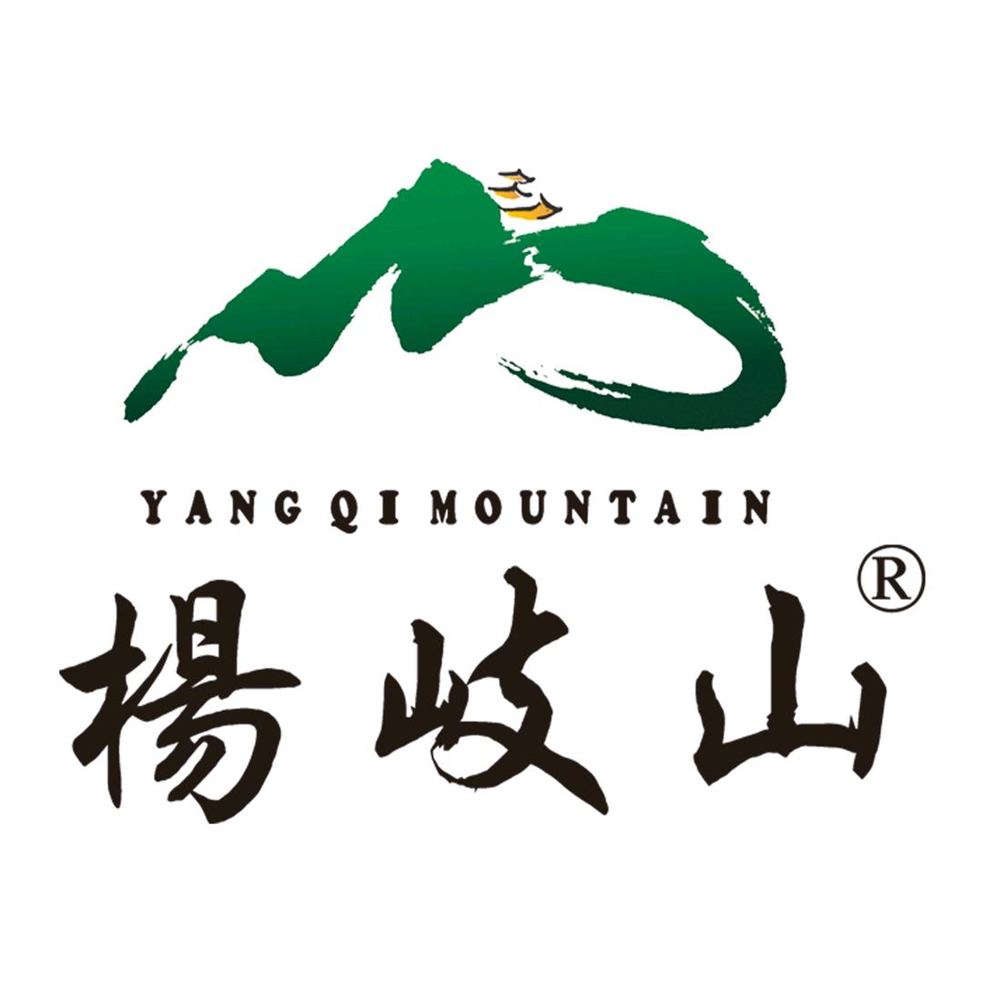 杨岐山食品