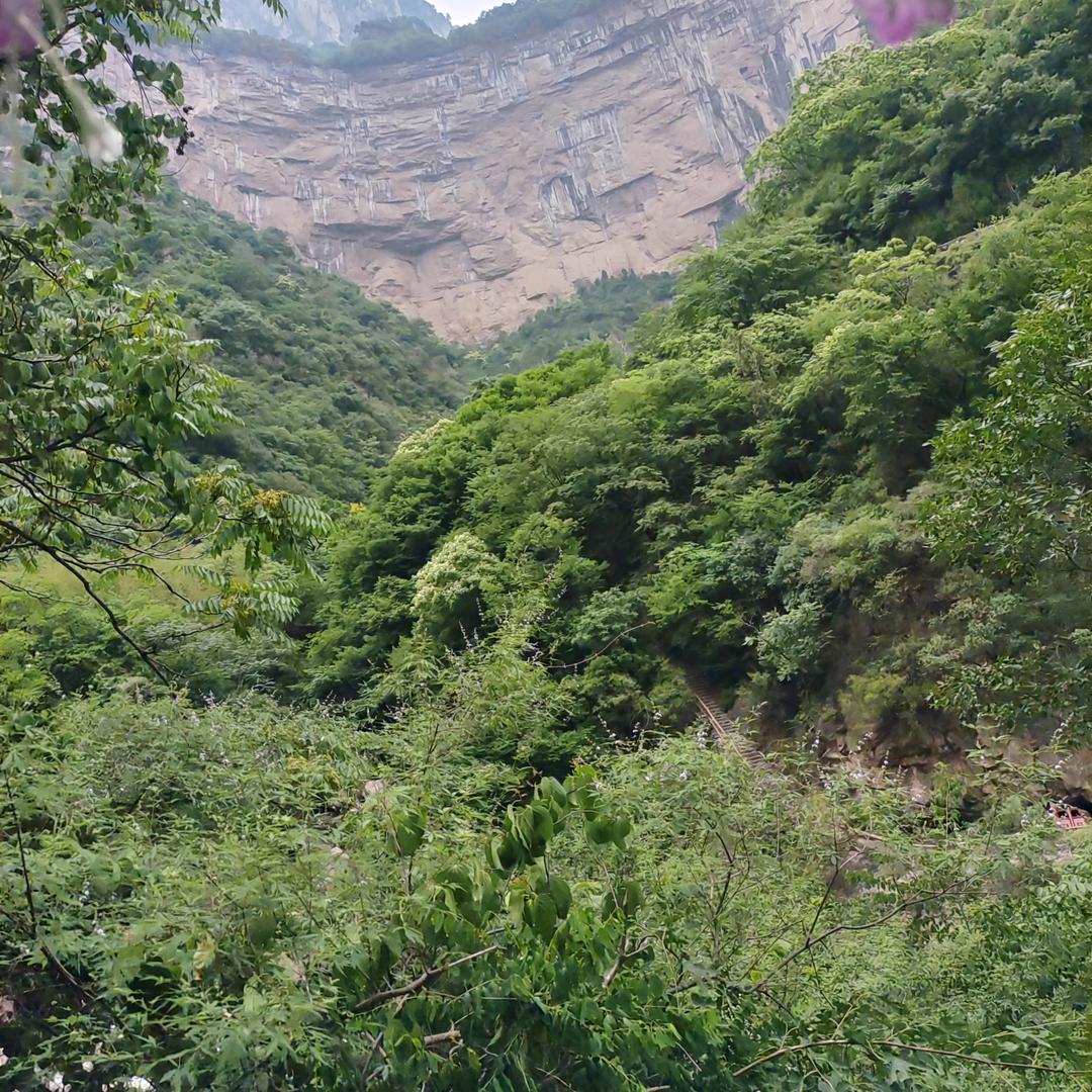 一切都是命中注定