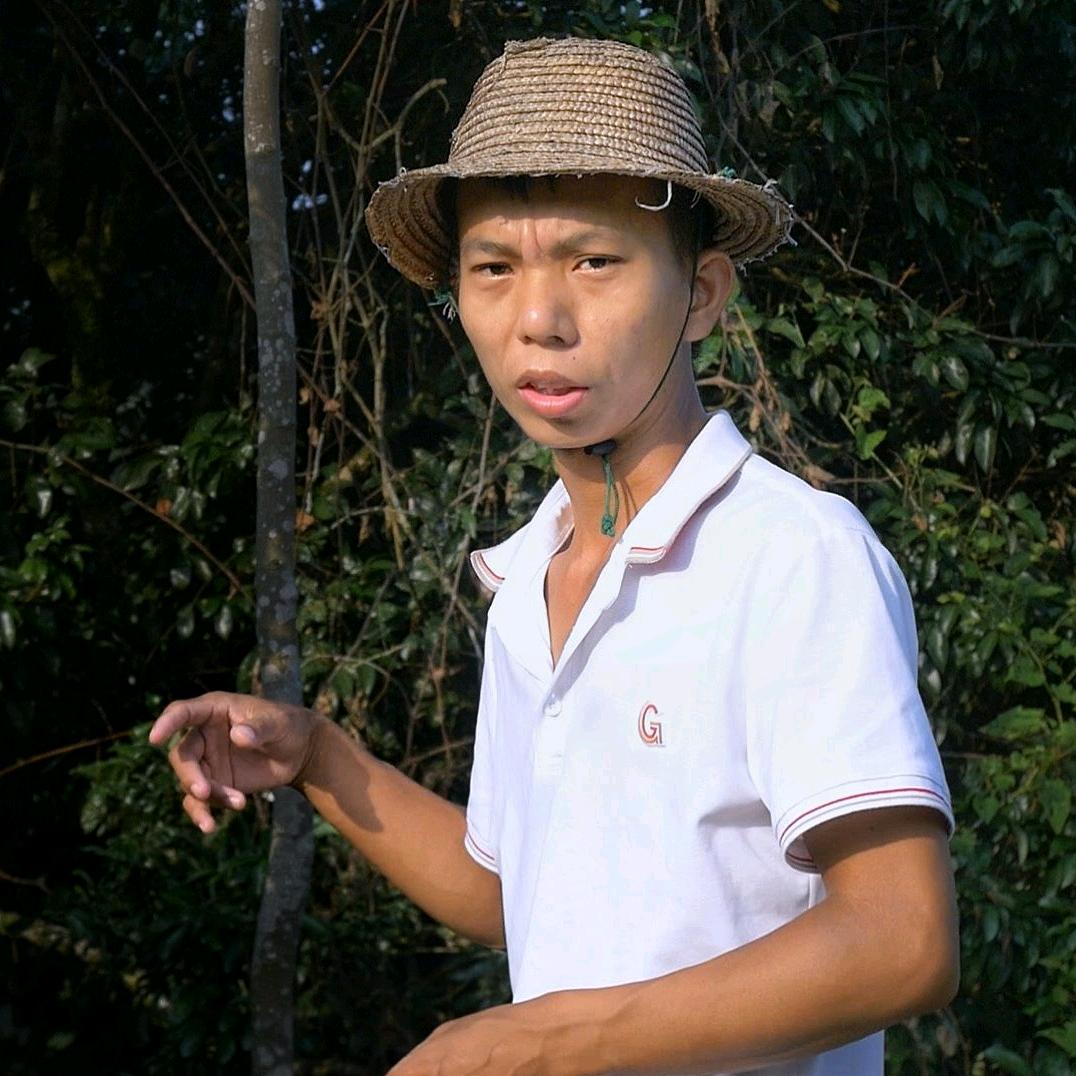 广西菲哥说树苗