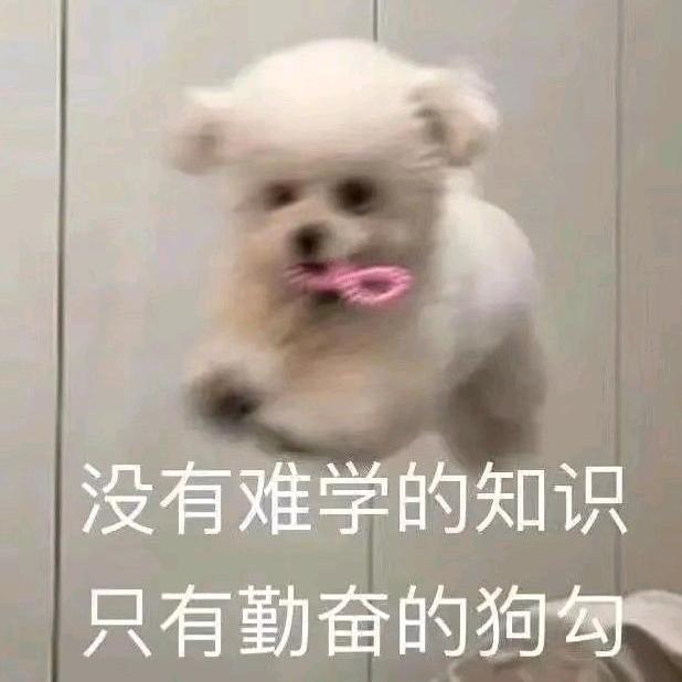 今天不做小狗