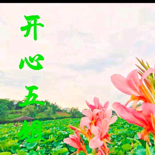 开心五姐