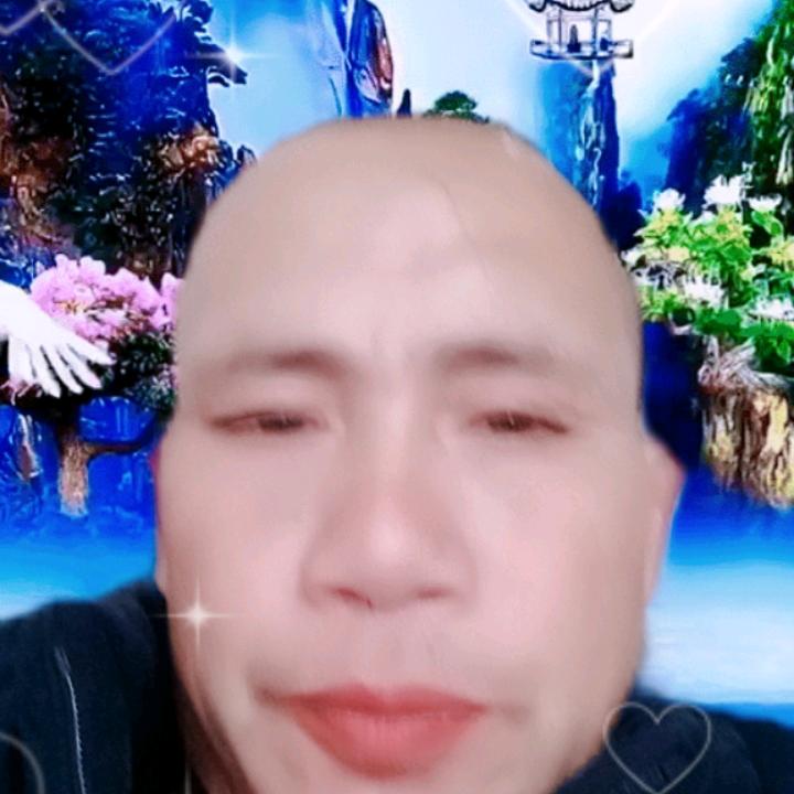 何定华
